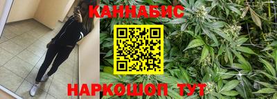 прущий лед Будённовск