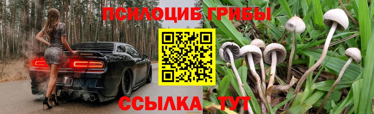 Псилоцибиновые грибы Psilocybine cubensis  Вход с VPN  Курчатов 